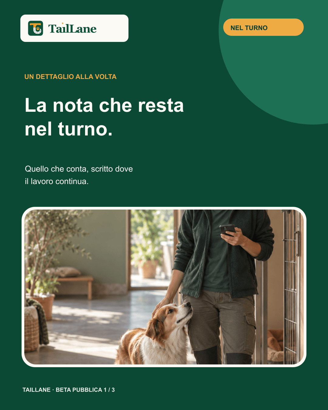 Carosello TailLane verde con wordmark approvato e titolo La nota che resta nel turno. Una fotografia editoriale mostra un’operatrice in una struttura per animali mentre accarezza un cane e controlla un telefono generico privo di contenuti leggibili.