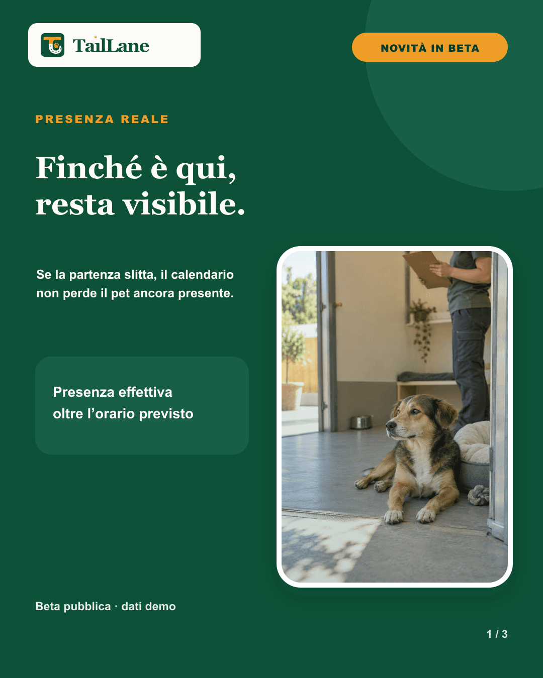 Carosello TailLane verde con wordmark approvato, badge Novità in beta, titolo Finché è qui, resta visibile e fotografia editoriale di un cane tranquillo ancora presente in una struttura pet. Una nota spiega che il calendario continua a mostrare un pet presente oltre l'orario di partenza previsto.