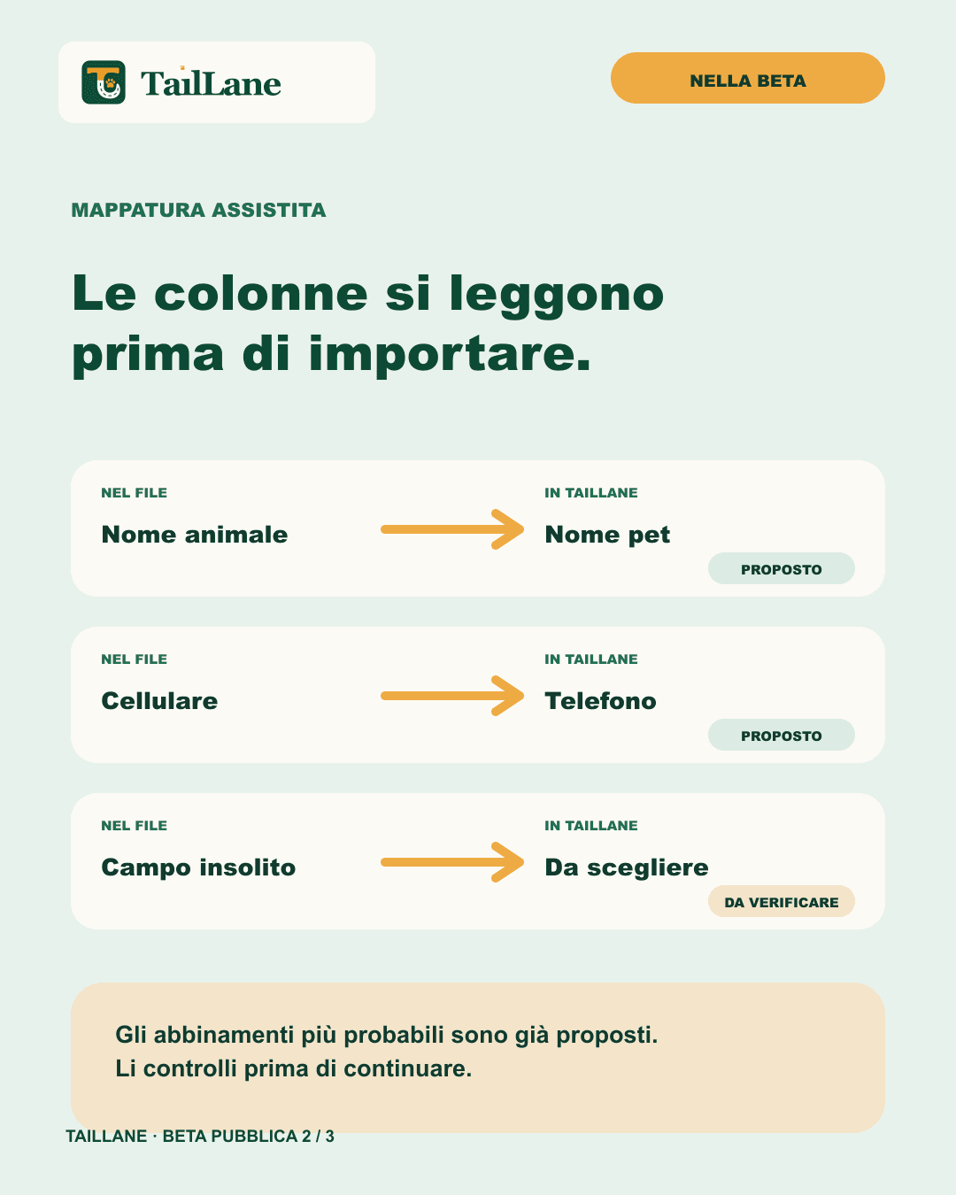 Slide chiara Le colonne si leggono prima di importare con tre righe astratte: Nome animale verso Nome pet, Cellulare verso Telefono e Campo insolito verso Da scegliere. Le prime due sono indicate come proposte, la terza come da verificare.