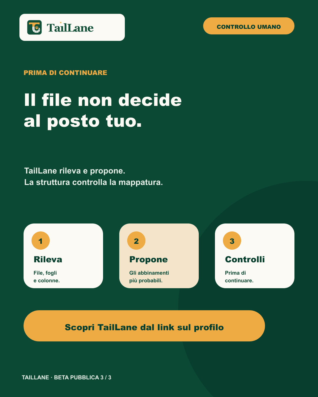 Slide verde Il file non decide al posto tuo con tre passaggi: rileva file, fogli e colonne; propone gli abbinamenti probabili; la struttura controlla prima di continuare. In fondo compare la CTA neutra verso il link sul profilo.