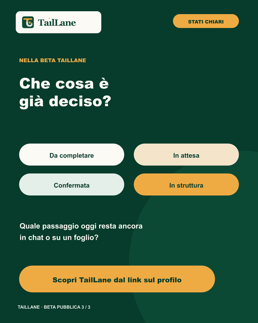 Slide TailLane verde scuro con titolo Che cosa è già deciso? Quattro etichette mostrano gli stati Da completare, In attesa, Confermata e In struttura, con un invito neutro a scoprire TailLane dal link sul profilo.
