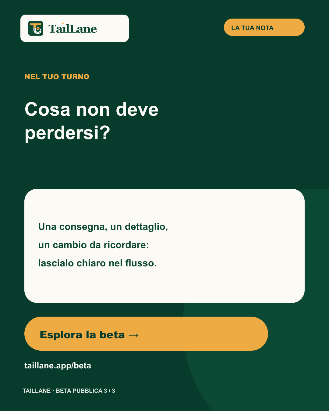 Carosello TailLane verde scuro con titolo Cosa non deve perdersi? e una domanda su consegne, dettagli e cambi da ricordare, con invito a esplorare la beta.