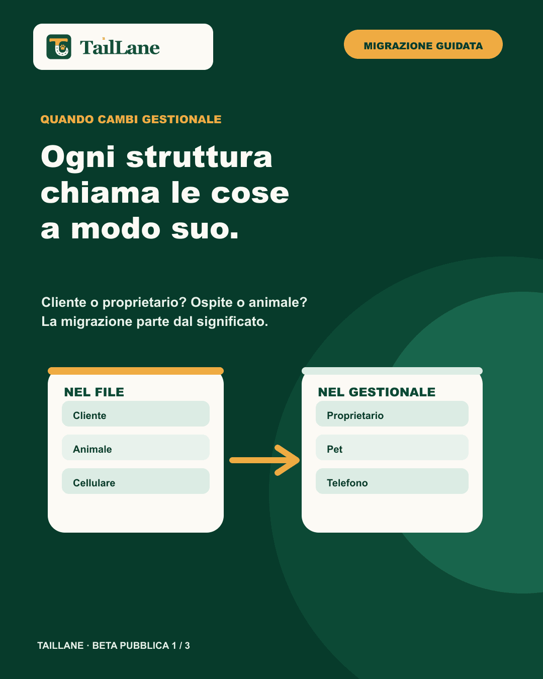 Carosello TailLane verde scuro con wordmark canonico e titolo Ogni struttura chiama le cose a modo suo. Due tabelle astratte mettono in relazione Cliente, Animale e Cellulare con Proprietario, Pet e Telefono. Non compaiono schermate, dati personali o marchi terzi.