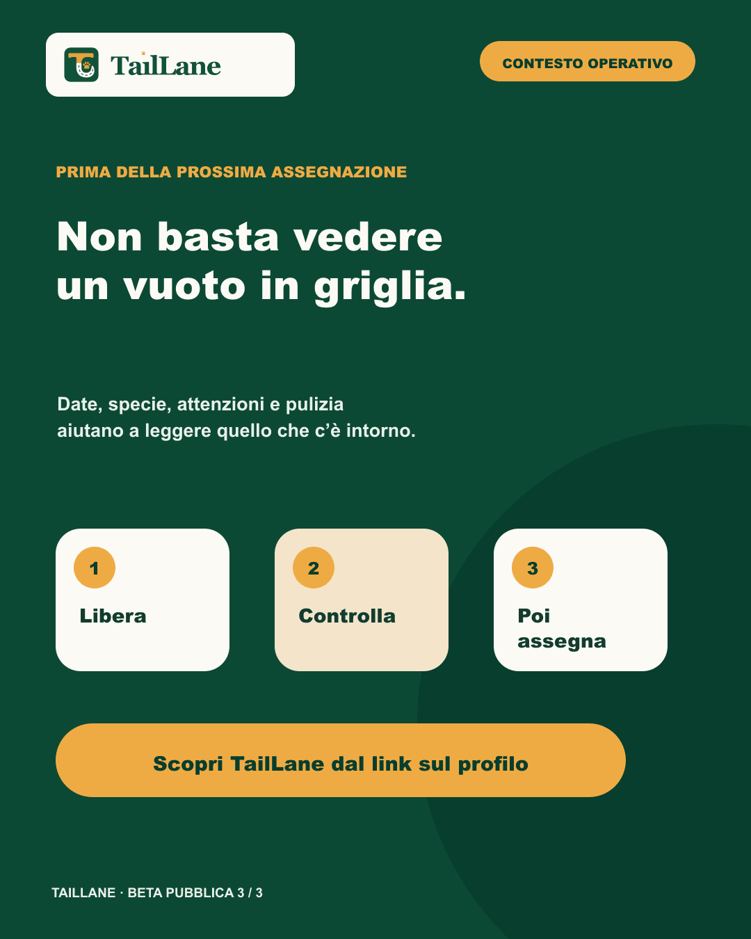 Slide TailLane verde scuro con titolo Il vuoto in griglia non basta e una sequenza astratta: libera, controlla, poi assegna. La CTA neutra rimanda al link sul profilo e la grafica non afferma che TailLane determini automaticamente quando una stanza è pronta.